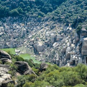 a rocky landscape with trees